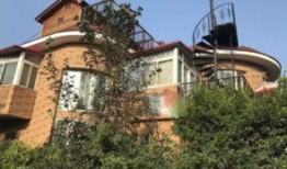 上海别墅爆料事件视频